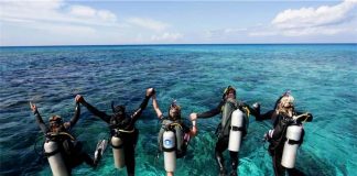 Özel Türk Hoca ile Tüplü Dalış (PADI) Kursları