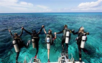 Özel Türk Hoca ile Tüplü Dalış (PADI) Kursları