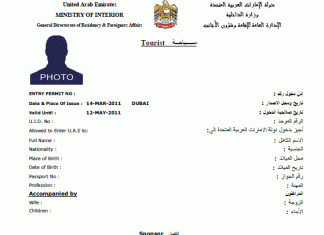 Dubai Vizesi