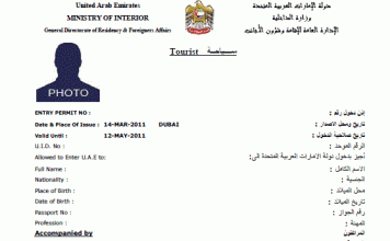 Dubai Vizesi