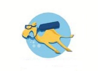 Dubai’de Sualtı Sporları Aktivite Formu