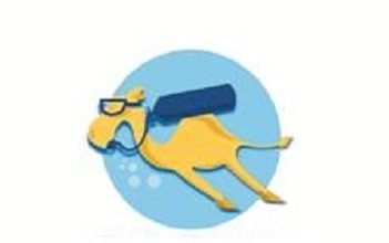 Dubai’de Sualtı Sporları Aktivite Formu