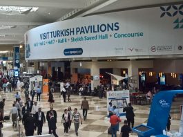 Middle East Electricity 2017