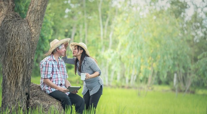 Bireysel Emeklilik Planlaması emeklilik