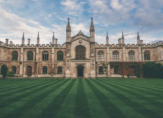 Dubai’de Eğitim Planlaması eğitim