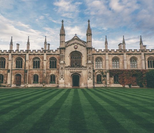 Dubai’de Eğitim Planlaması eğitim