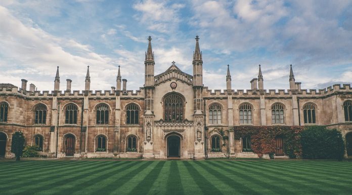 Dubai’de Eğitim Planlaması eğitim